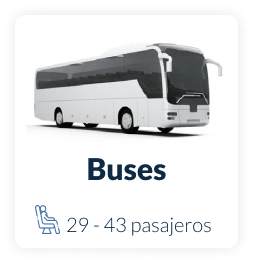 servicios especiales de transporte